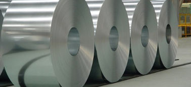 Cina La resistenza al calore ha galvanizzato la bobina d'acciaio con l'iniettore dello zinco per l'elettrodomestico fornitore