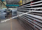 Piatto di acciaio standard di Europa U.S.A. Corten fatto dipingere il ponte libero di acciaio per costruzioni edili per resistenza agli'agenti atmosferici fornitore