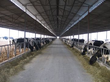 Cina mucca/cavallo crescere Pre-costruiti dei sistemi dell'inquadratura d'acciaio con i pannelli del tetto fornitore