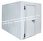 Passeggiata isolata termale del pannello a sandwich nel refrigeratore del frigorifero della costruzione prefabbricata e del congelatore per le bevande fornitore