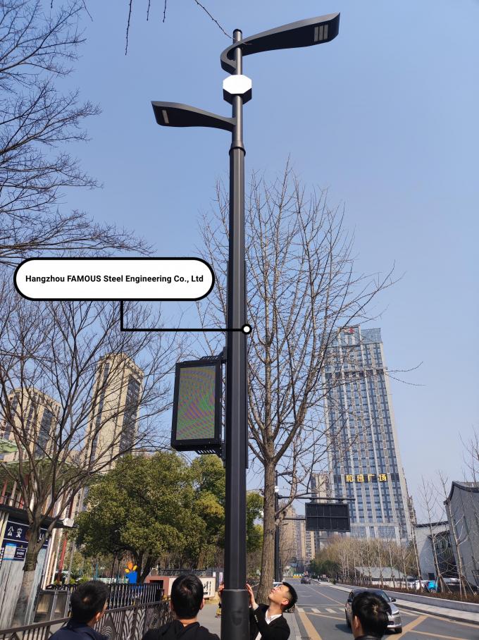 Posta astuta su misura della lampada di illuminazione di via del metallo di Pali dell'iluminazione pubblica all'aperto 3
